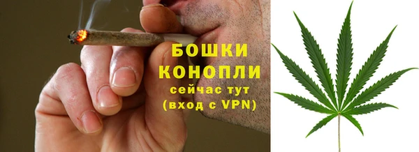 круглые Бородино