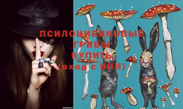 круглые Бородино
