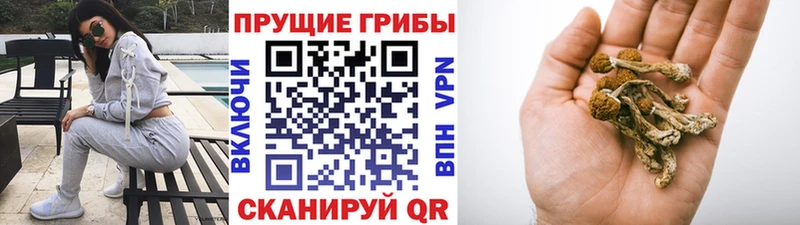 Галлюциногенные грибы Magic Shrooms  Купить закладки  Балахна 